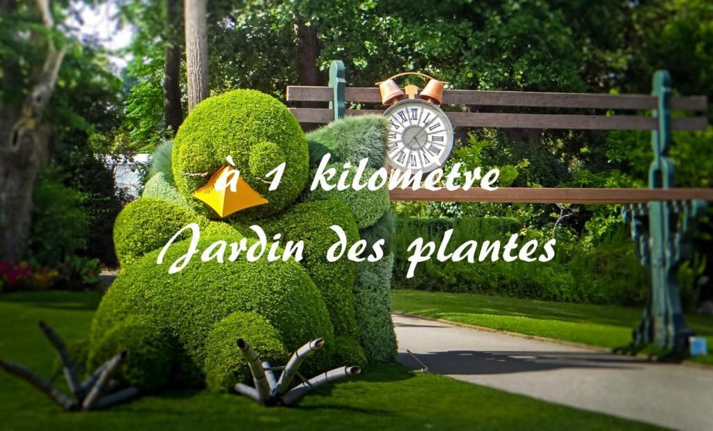 Le Nid Des Carmes Apartment Nantes Bagian luar foto